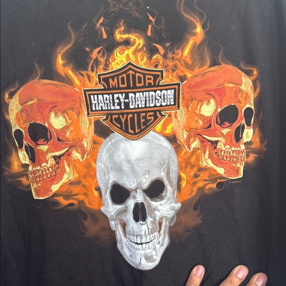 Harley-Davidson Black Graphic Long Sleeve Shirt - Picture 2 of 7